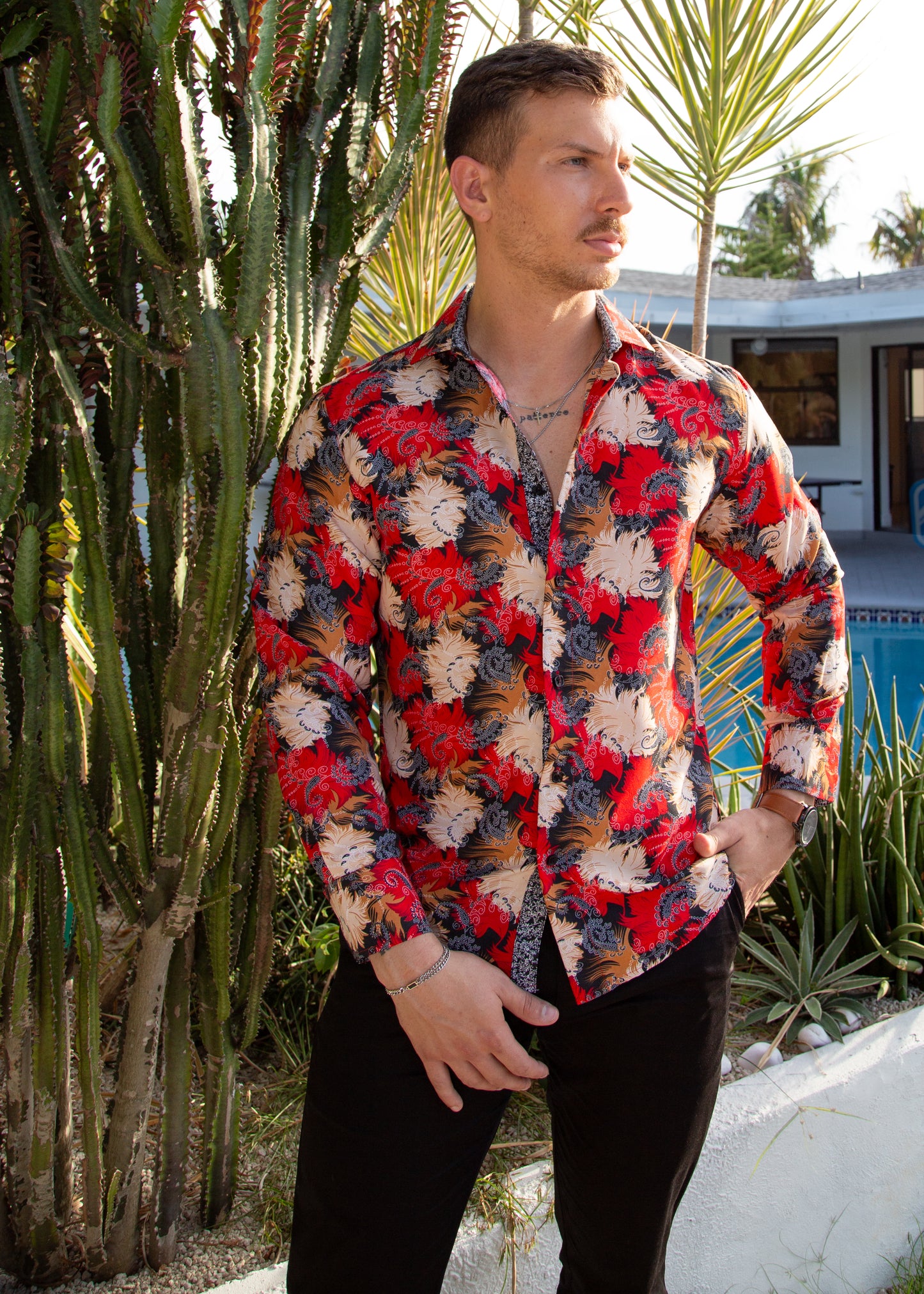 'Desert Firecracker'