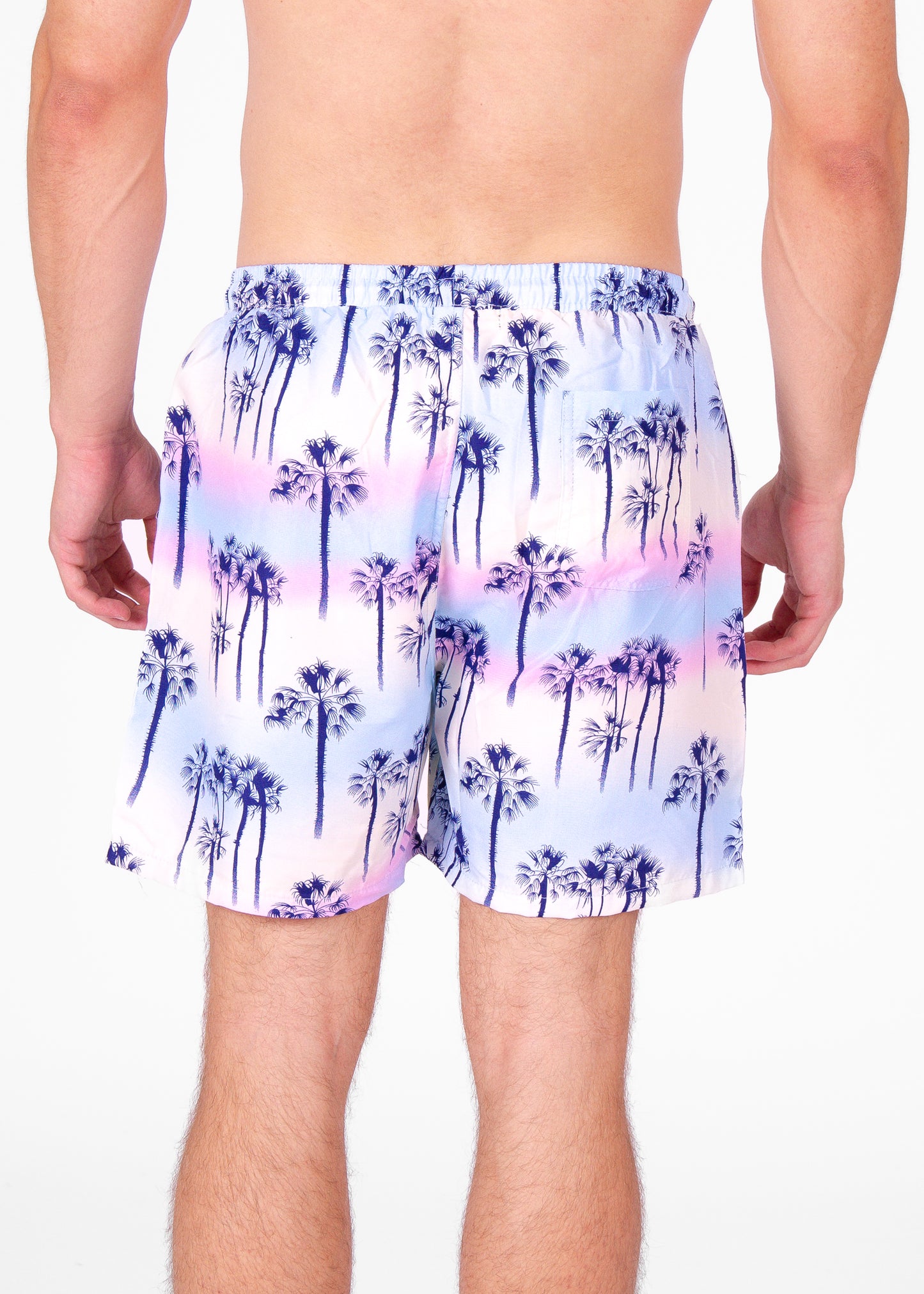 'Island Gradient' Swim Shorts