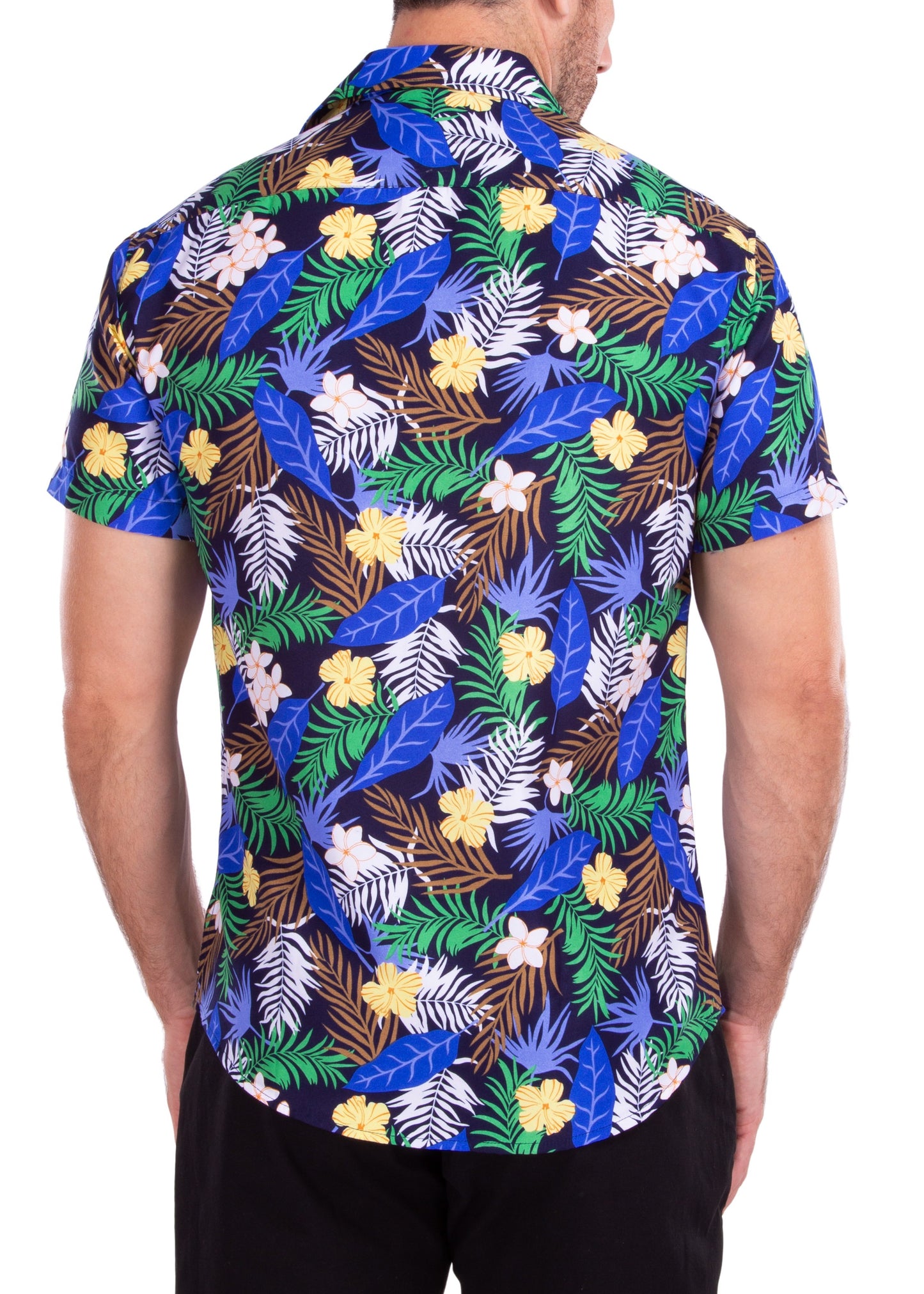 'Here Today, Gone To Maui'