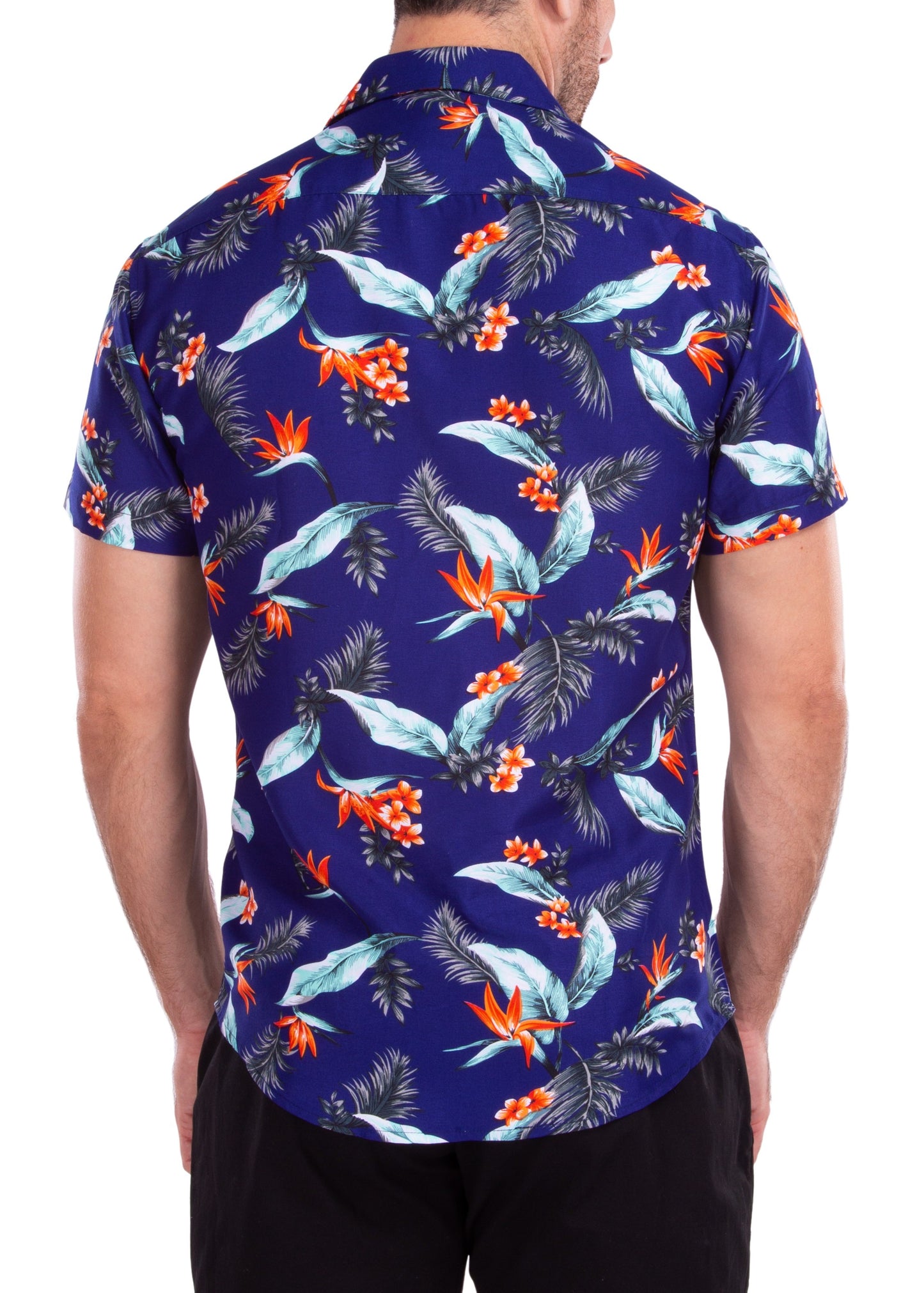 'It's All Sun And Games'