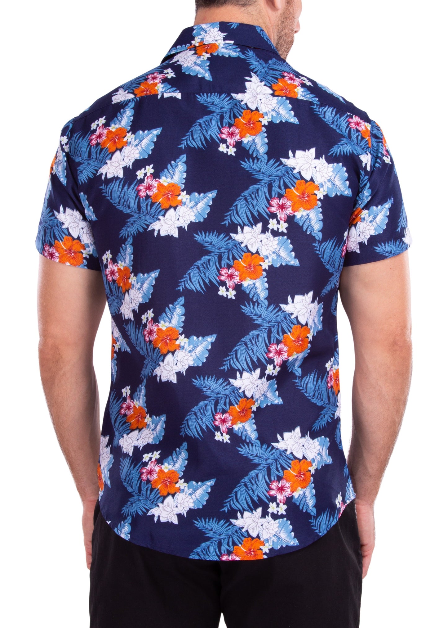 'Might Just Steal Your Beach'