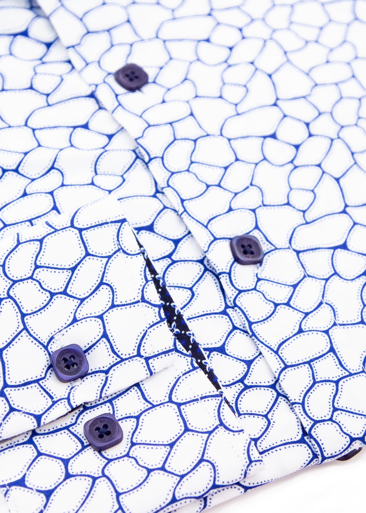 'Coral Of The Story'