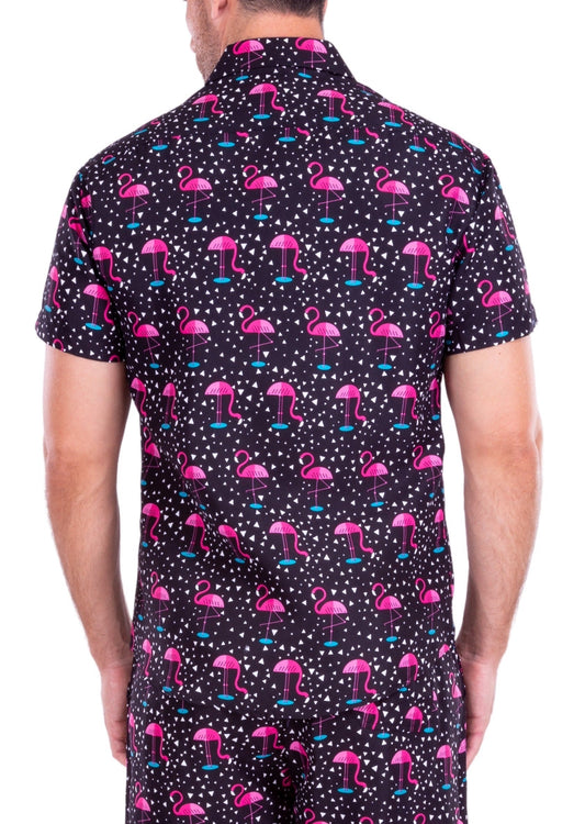 'Party Like A Flock Star'