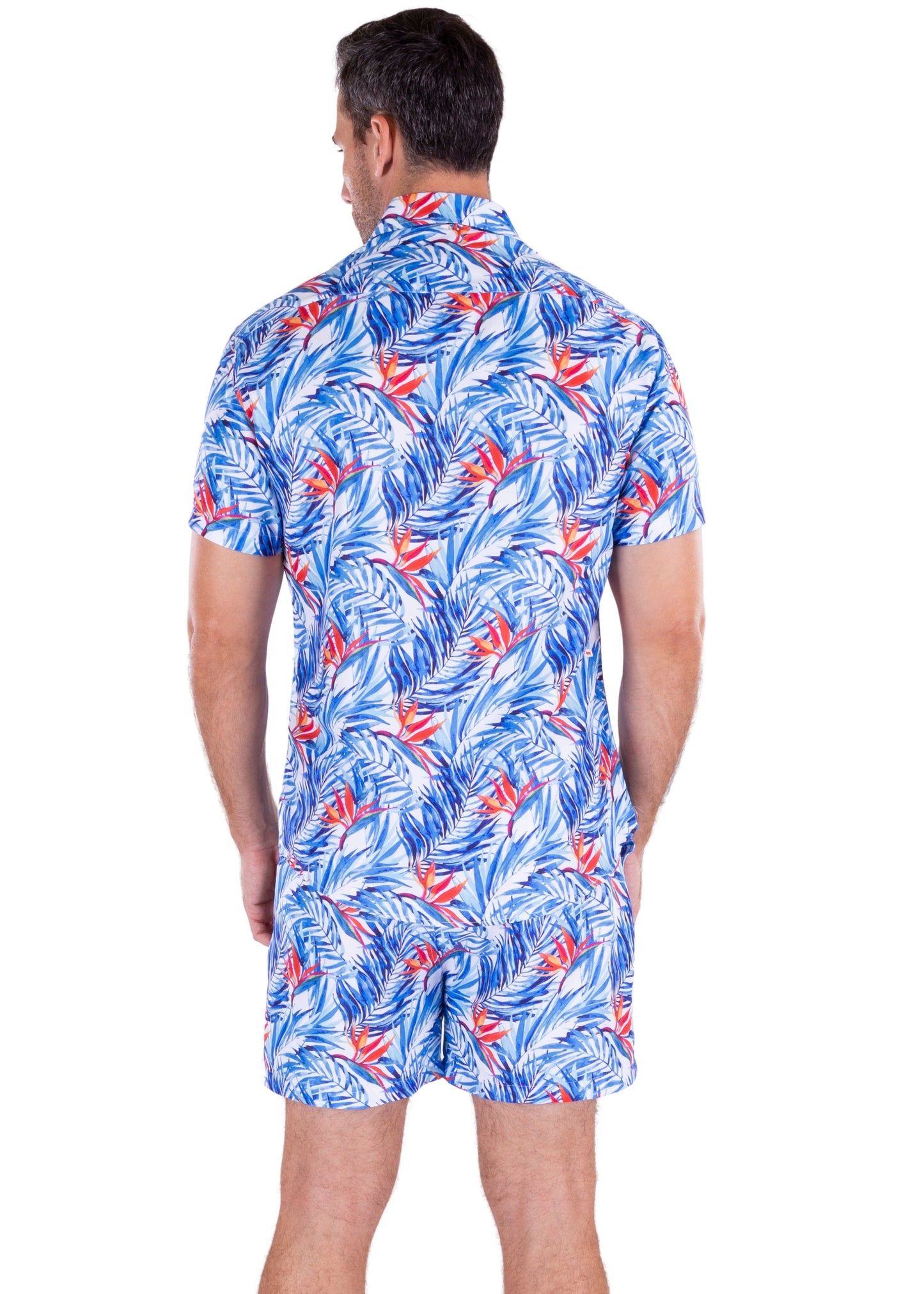 'Chasing Palm Trees'