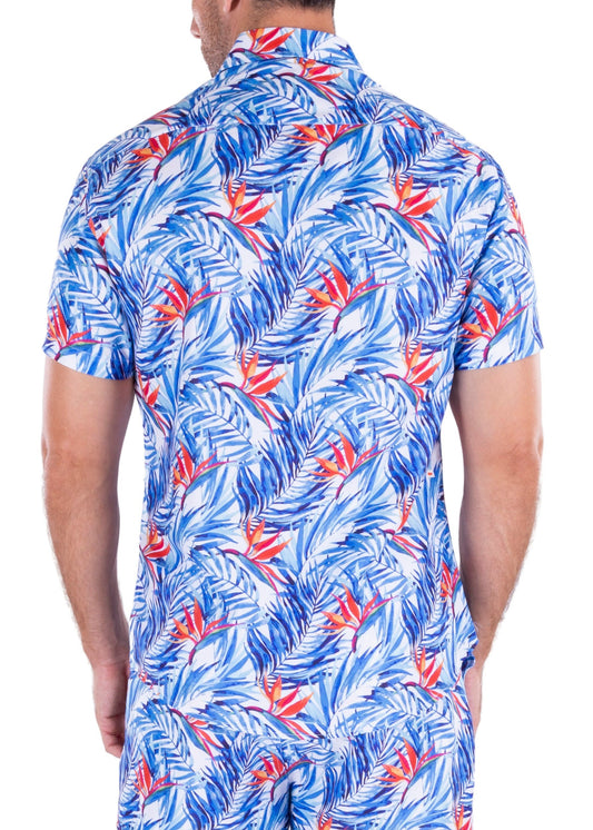 'Chasing Palm Trees'