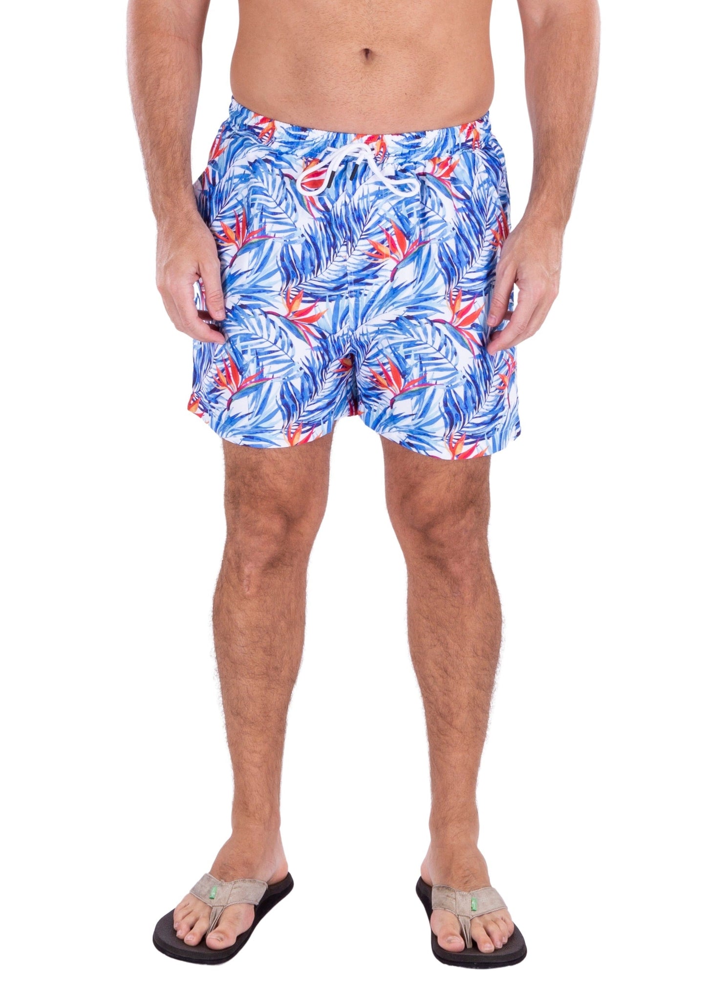 'Chasing Palm Trees' Swim Shorts