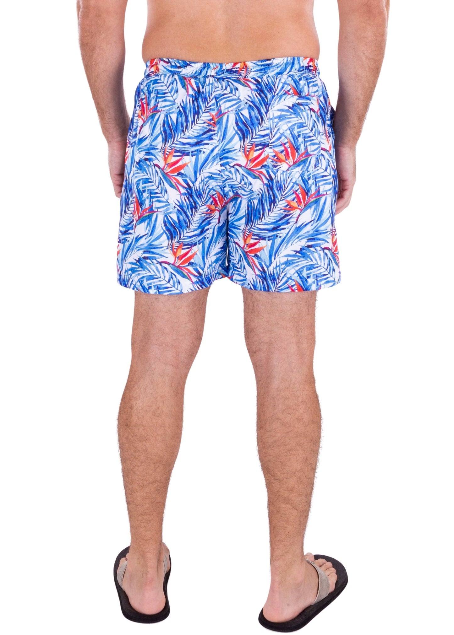 'Chasing Palm Trees' Swim Shorts